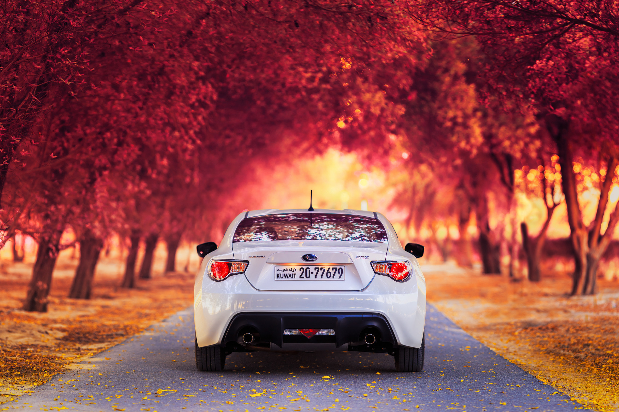 , subaru, brz, , , , , , 
